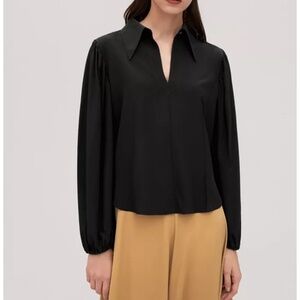 Black V-Neck Long-Sleeve Blouse